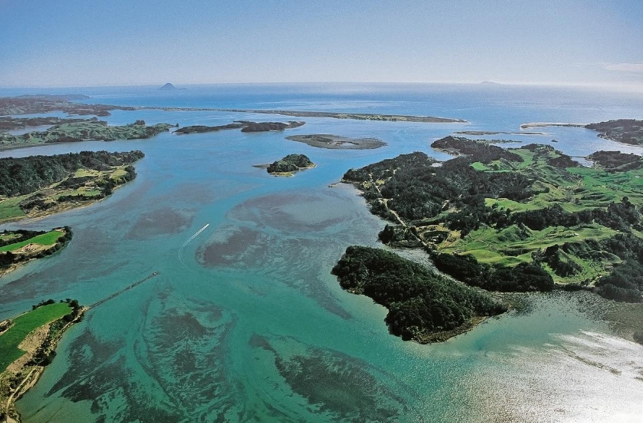 Ohiwa Seascape Studios Opotiki Dış mekan fotoğraf